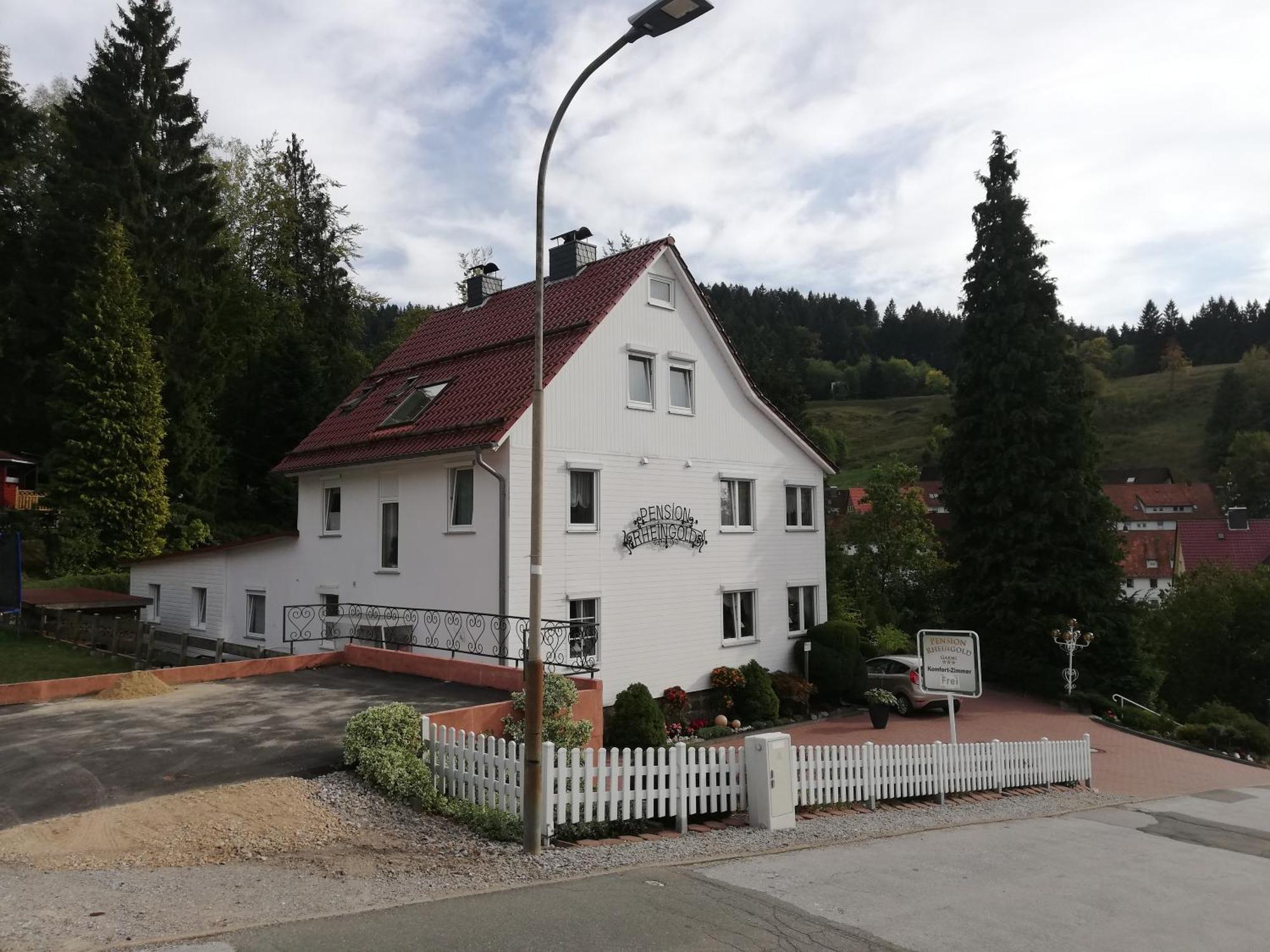 Pension Rheingold Garni Bad Grund Εξωτερικό φωτογραφία