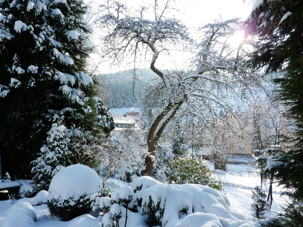 Pension Rheingold Garni Bad Grund Εξωτερικό φωτογραφία