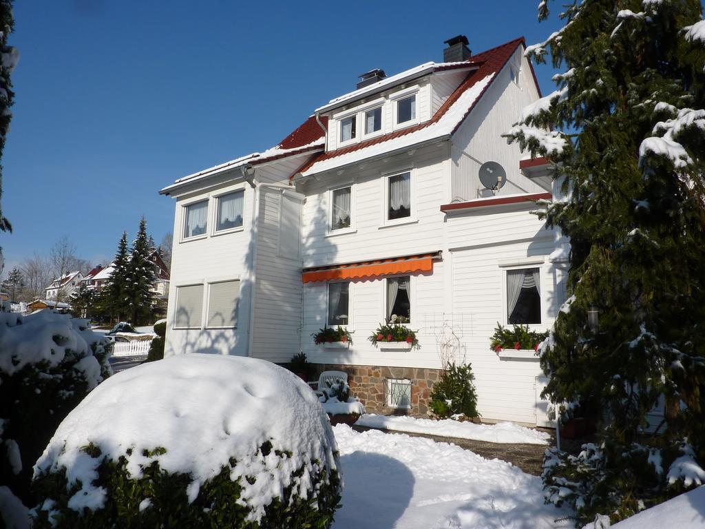 Pension Rheingold Garni Bad Grund Εξωτερικό φωτογραφία
