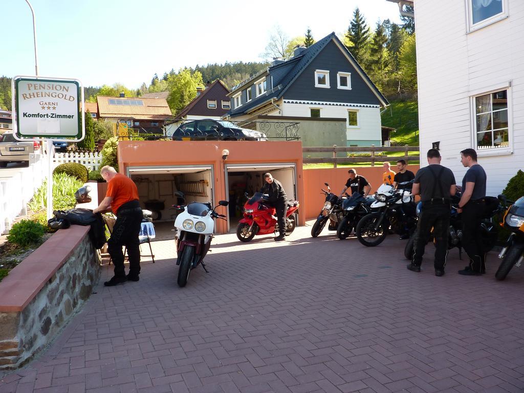 Pension Rheingold Garni Bad Grund Εξωτερικό φωτογραφία
