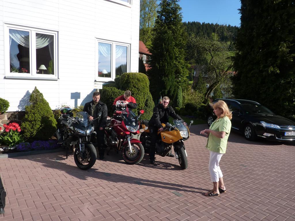 Pension Rheingold Garni Bad Grund Εξωτερικό φωτογραφία
