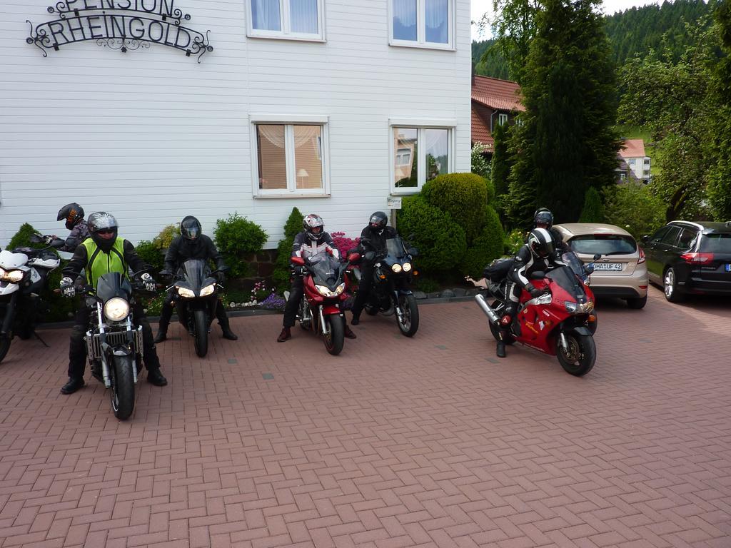 Pension Rheingold Garni Bad Grund Εξωτερικό φωτογραφία