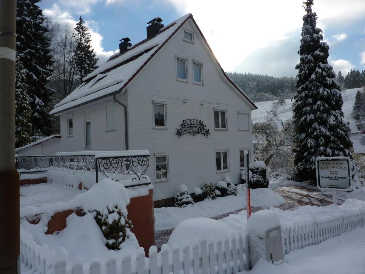 Pension Rheingold Garni Bad Grund Εξωτερικό φωτογραφία